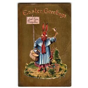 Easter Postcard Dressed Mother Rabbit Fresh Eggs Everyday John Winsch Back